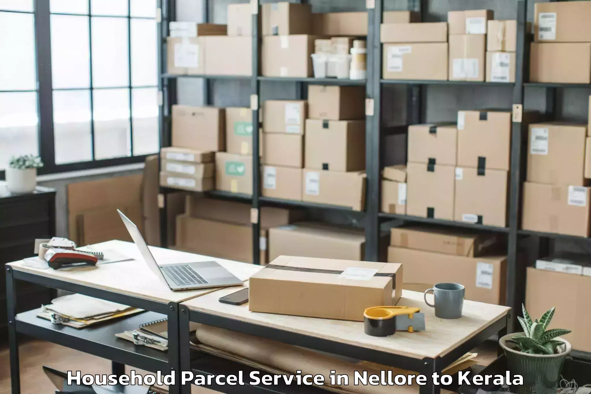 Nellore to Thiruvananthapuram Internation Household Parcel Booking